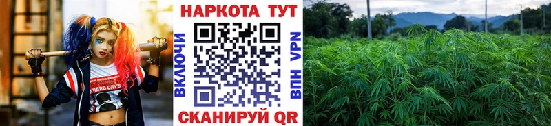 ГАШ Солнечногорск