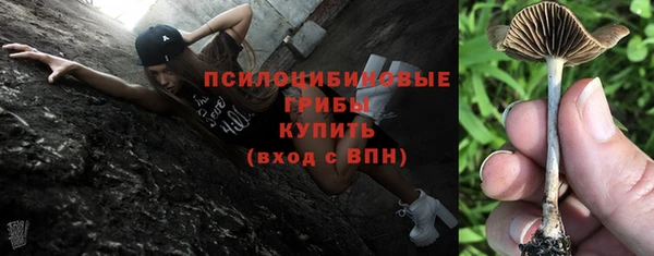 mix Иннополис