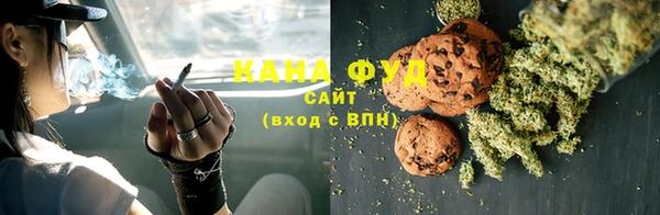 СК Инта