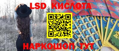 ПСИЛОЦИБИНОВЫЕ ГРИБЫ Заволжье