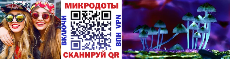 Псилоцибиновые грибы Cubensis  как найти закладки  Солнечногорск 