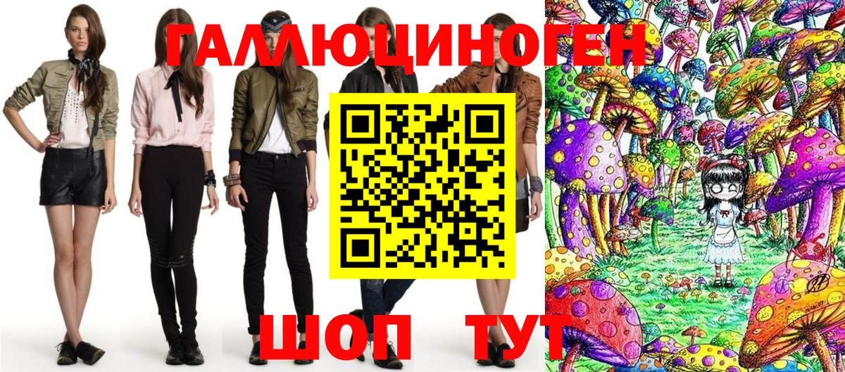 Псилоцибиновые грибы Psilocybine cubensis Солнечногорск