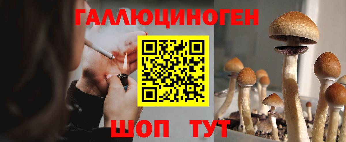 Галлюциногенные грибы Cubensis  Псилоцибиновые грибы MAGIC MUSHROOMS  Вход с VPN  Солнечногорск 