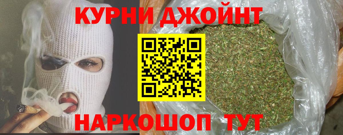 Конопля сатива Солнечногорск